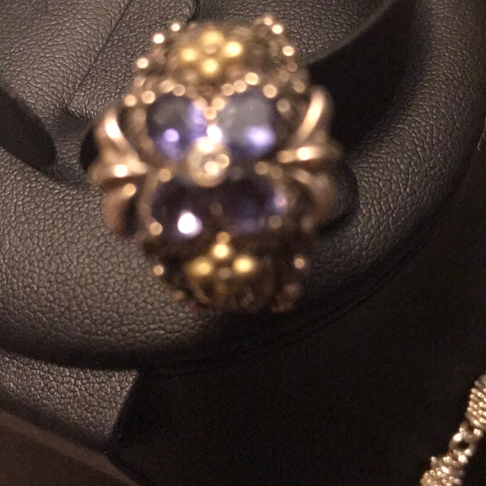 Barbara bixby ring